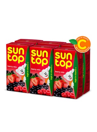Berry Mix Fruit Drink 125ml Pack of 6 - v1655639263/N25259466A_1