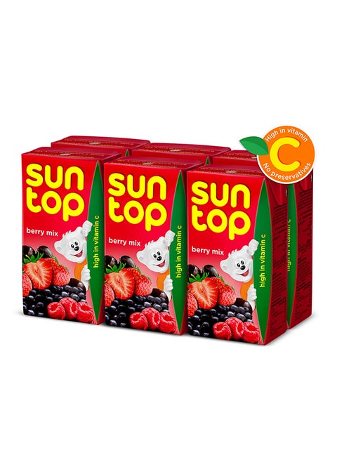 Berry Mix Fruit Drink 125ml Pack of 6