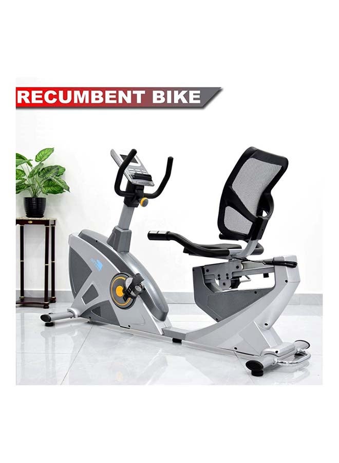 SkyLand Recumbent Exercise Bike  - Image 2