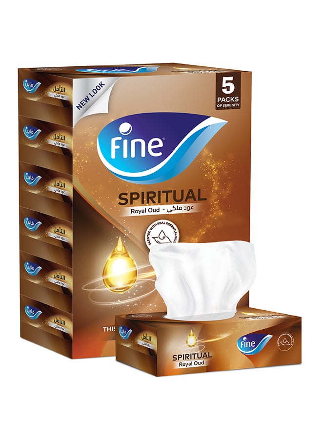 Fine Sterilized Facial Tissues 2 Ply 120 Sheets Pack of 5 White  - Image 1