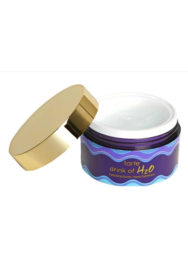 Rainforest Of The Sea Drink Of H2O Hydrating Boost