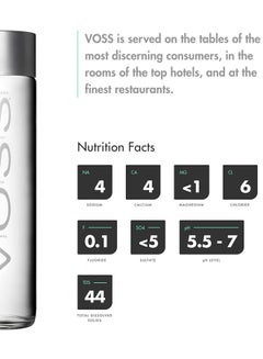 Voss Natural Mineral Water Pet Bottle 500ml Pack of 24  - Image 3