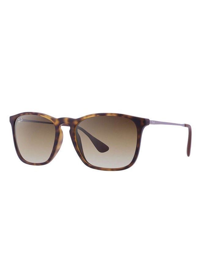 Ray-Ban - Wayfarer Sunglasses - Image 1