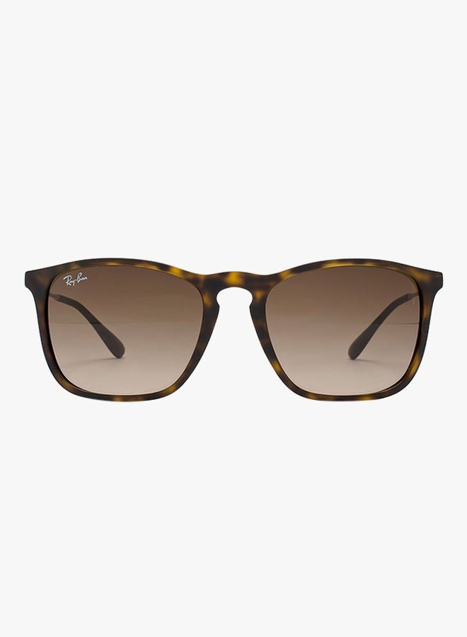 Ray-Ban - Wayfarer Sunglasses - Image 1