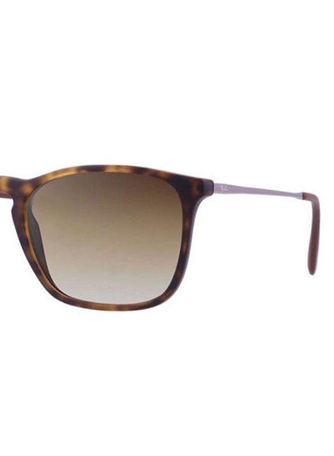 Ray-Ban - Wayfarer Sunglasses - Image 1