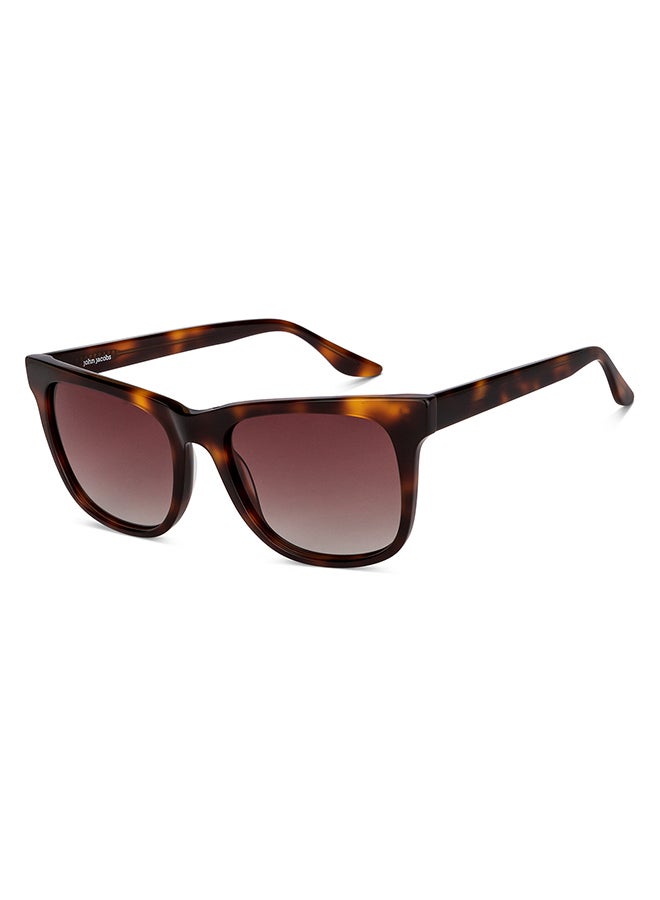 John Jacobs Full Rim Polarized Wayfarer Sunglasses For Men & Women - 54mm - Tortoise  - Image 1
