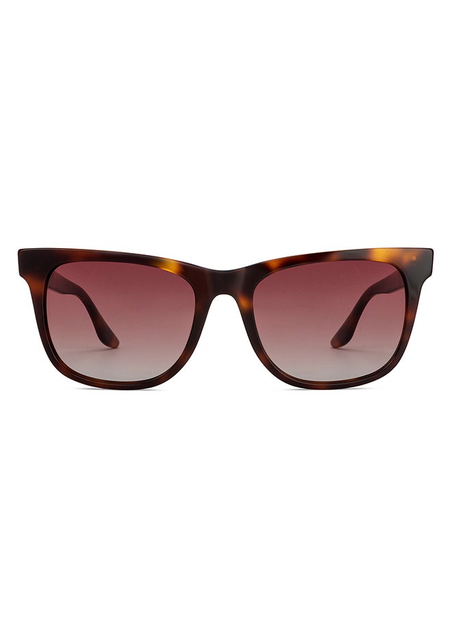 John Jacobs Full Rim Polarized Wayfarer Sunglasses For Men & Women - 54mm - Tortoise  - Image 2
