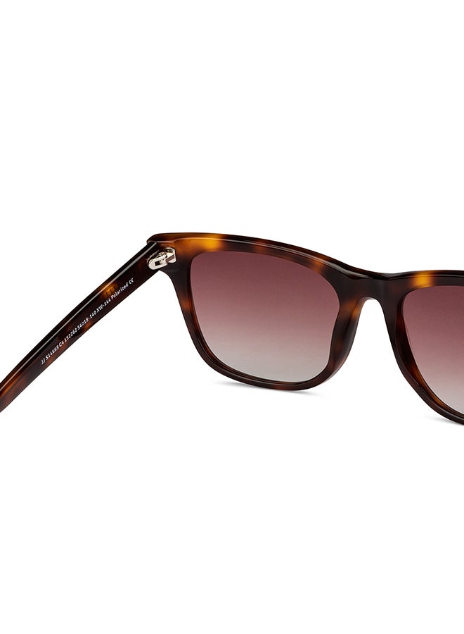 John Jacobs Full Rim Polarized Wayfarer Sunglasses For Men & Women - 54mm - Tortoise  - Image 4