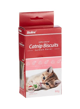 Catnip Biscuits Salmon Flavour Multicolour 80grams - v1658129108/N48512899A_1