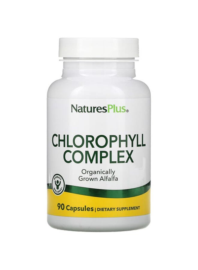 ناتشرز بلاس كلوروفيل طبيعي - 90 كبسولة - Image 1