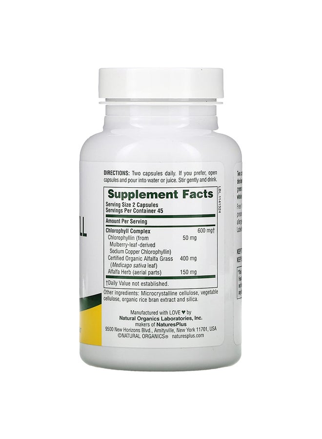 ناتشرز بلاس كلوروفيل طبيعي - 90 كبسولة - Image 2