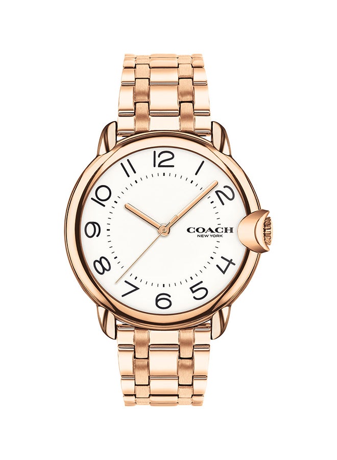 COACH Women's Arden  White Dial Watch - 14503598 