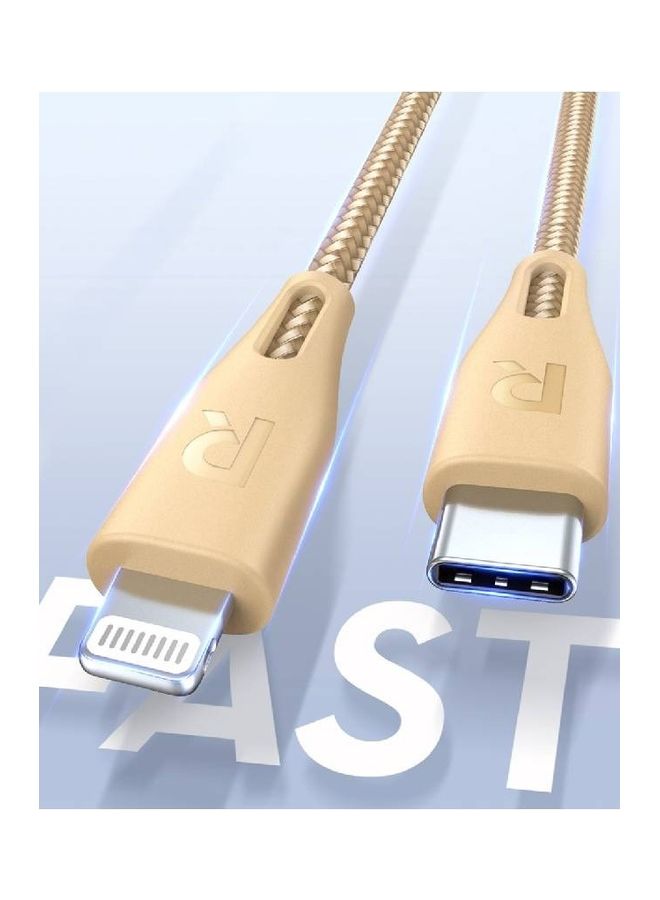 RAVPOWER RP-CB1018 Type-C To Lightning Cable Gold  - Image 3