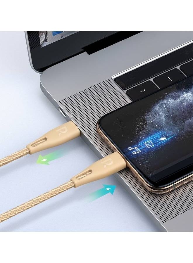 RAVPOWER MFi Certified RPCB1017 TypeC To Lightning Cable Gold - Image 4