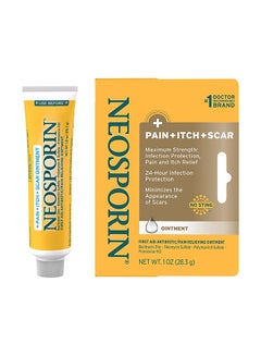 Pain Itch Scar Ointment