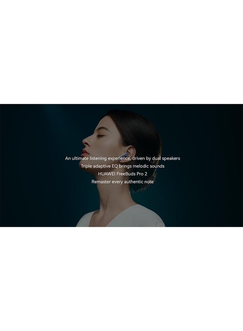 HUAWEI - Freebuds Pro 2 Silver Frost - Image 1