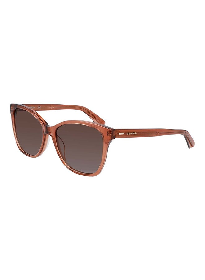 CALVIN KLEIN Women's Full Rim Acetate Modified Rectangle  Sunglasses  CK21529S-601-5516 - Image 1