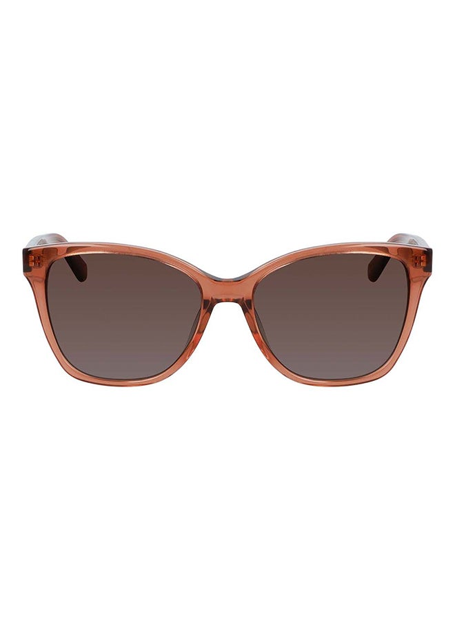 CALVIN KLEIN Women's Full Rim Acetate Modified Rectangle  Sunglasses  CK21529S-601-5516 - Image 2