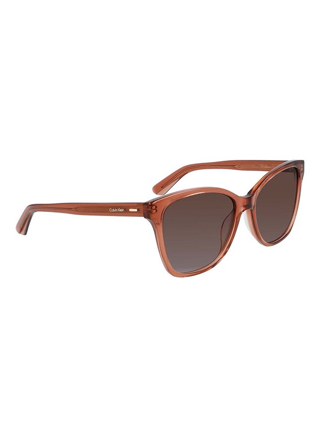 CALVIN KLEIN Women's Full Rim Acetate Modified Rectangle  Sunglasses  CK21529S-601-5516 - Image 3