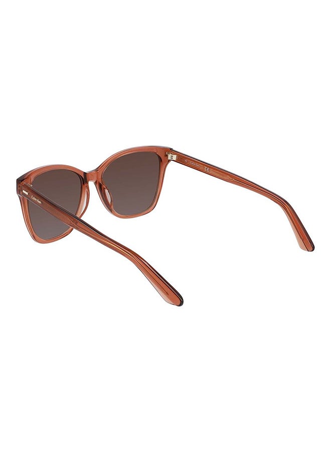 CALVIN KLEIN Women's Full Rim Acetate Modified Rectangle  Sunglasses  CK21529S-601-5516 - Image 4