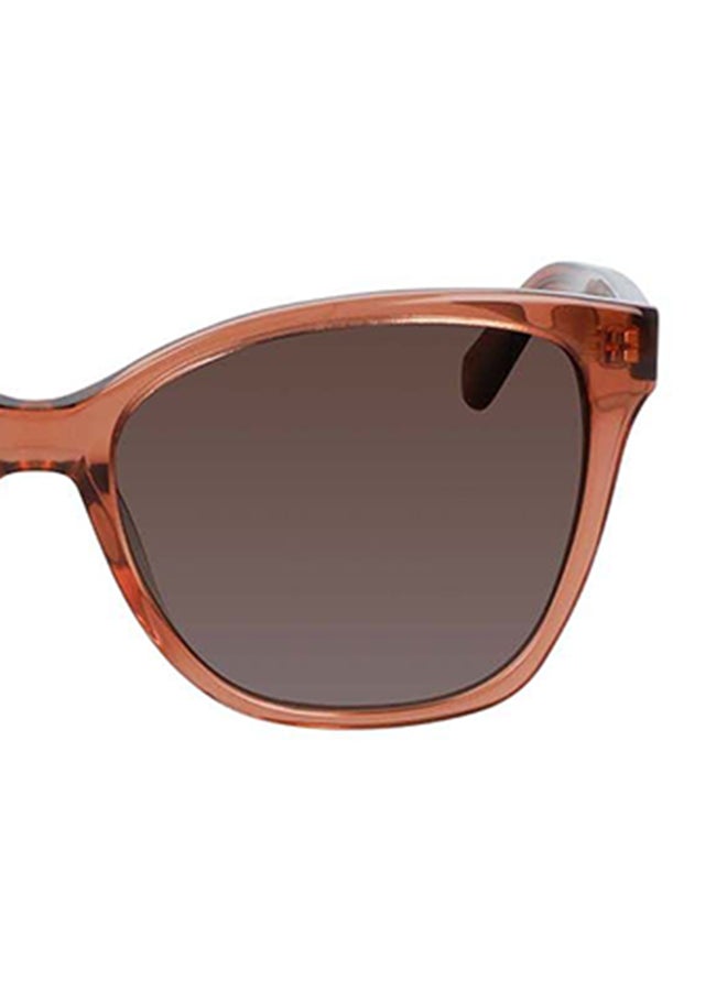 CALVIN KLEIN Women's Full Rim Acetate Modified Rectangle  Sunglasses  CK21529S-601-5516 - Image 5