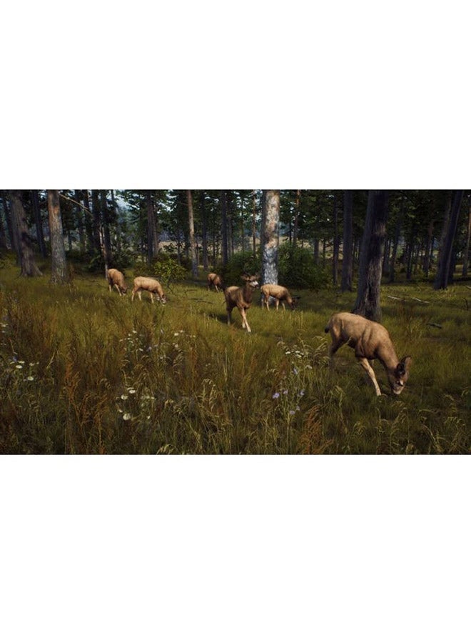 THQ - Way of The Hunter PS5 - action_shooter - playstation_5_ps5 - Image 1