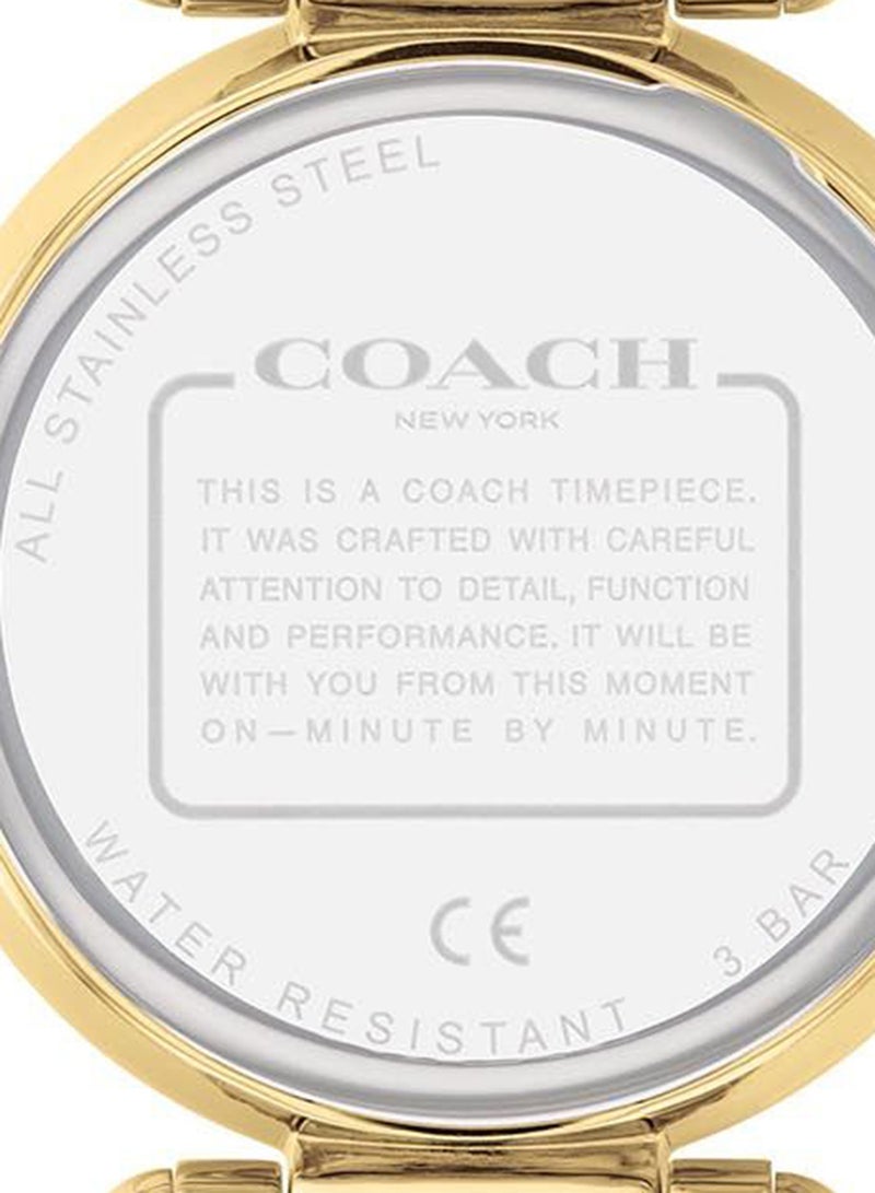 Women's Cary Silver Mother Of Pearl Dial Watch 14503832