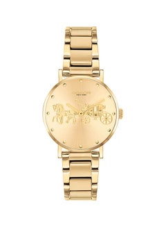 Women's Perry Light Gold Dial Watch 14503794