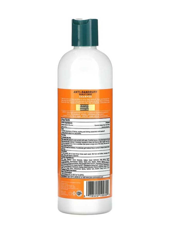 Jason Dandruff Relief Natural Treatment Shampoo 355ml - Image 2