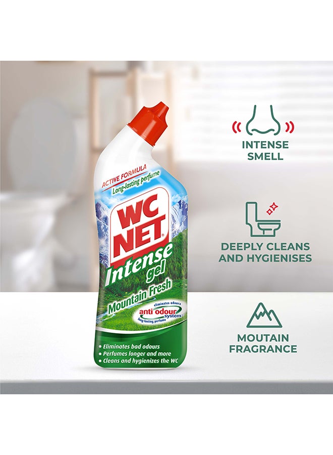 Wc Net Toilet Cleaner Intense Gel Mountain Fresh 750ml 1 + 1 Free Clear - Image 2
