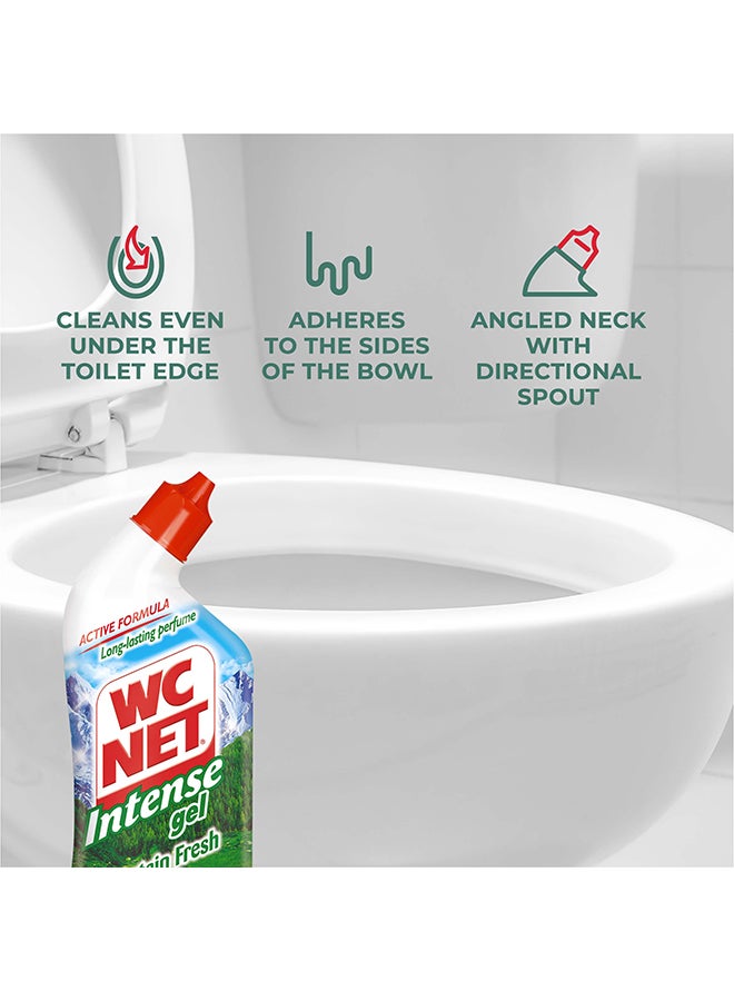 Wc Net Toilet Cleaner Intense Gel Mountain Fresh 750ml 1 + 1 Free Clear - Image 4