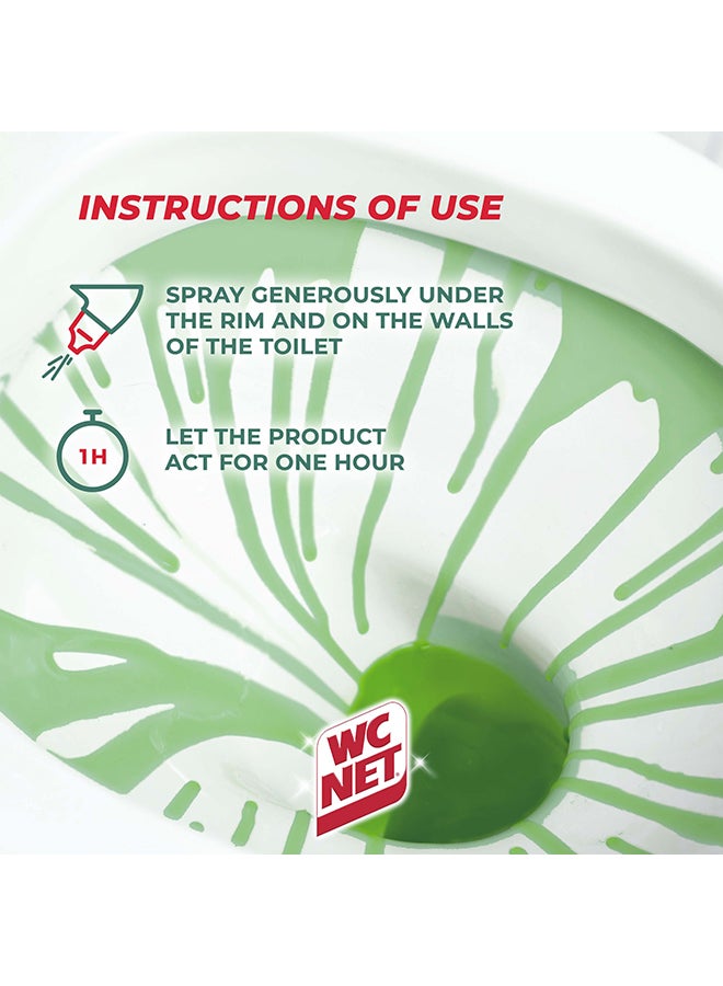 Wc Net Toilet Cleaner Intense Gel Mountain Fresh 750ml 1 + 1 Free Clear - Image 5