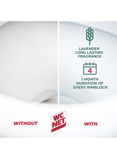 Wc Net Toilet Blocks Intense Lavender Fresh 4 Pieces Pack of 2  - Image 3
