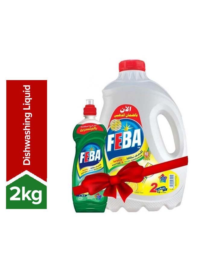 Dish Cleaner- With Feba Pack- 480 gm Multicolour 2Liters - v1659442773/N46559547A_1