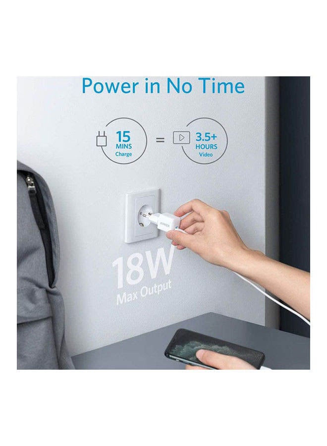 PowerPort III Nano-20W Version-High Voltage B2B White