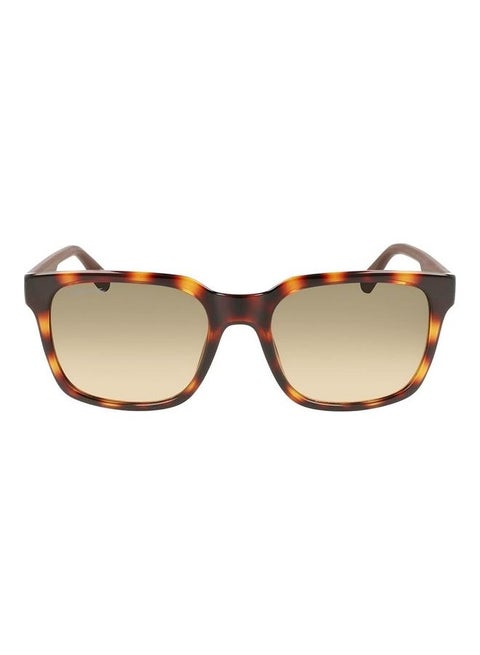 Men's Full Rim Injected Modified Rectangle Sunglasses L967S 5519 (230) Havana