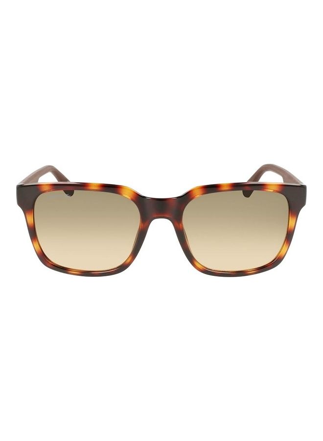 LACOSTE Men's Full Rim Injected Modified Rectangle Sunglasses L967S 5519 (230) Havana  - Image 1