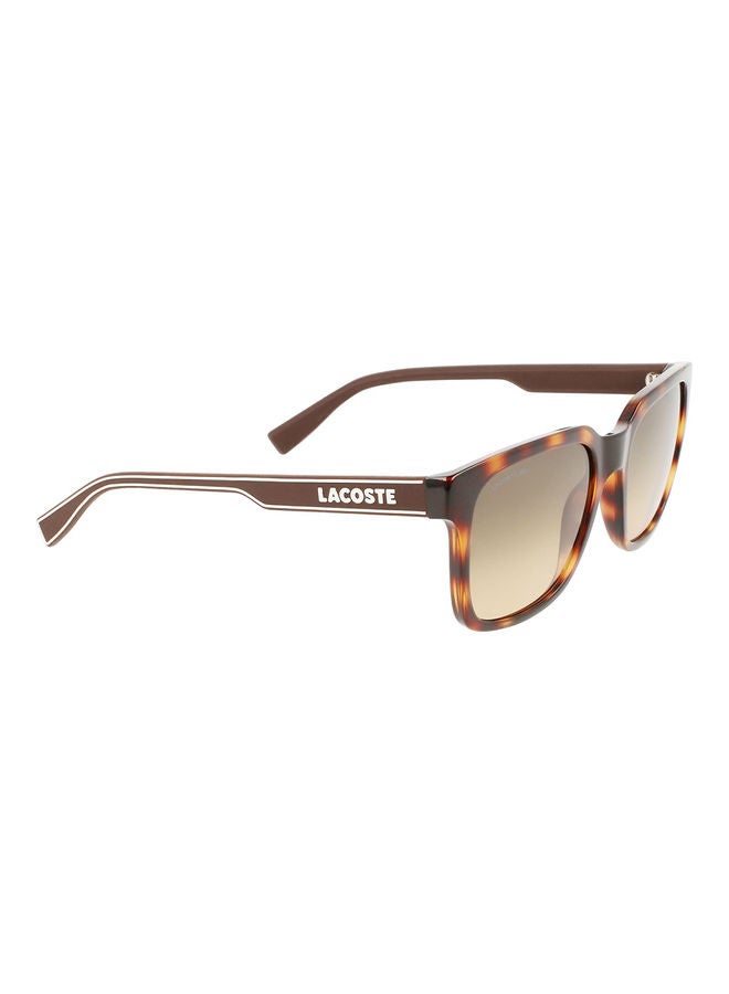LACOSTE Men's Full Rim Injected Modified Rectangle Sunglasses L967S 5519 (230) Havana  - Image 3