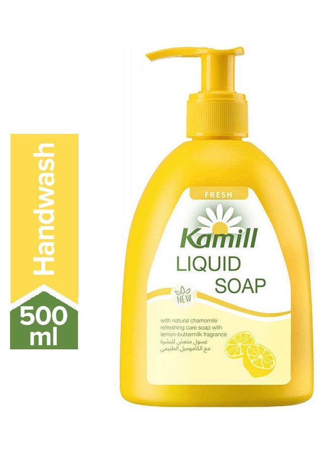 Hand soap fresh 500ml - v1660116654/N43895223A_1