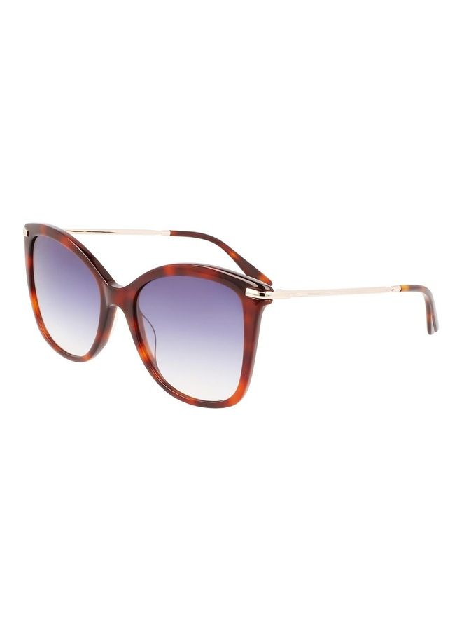 CALVIN KLEIN Women's Full Rim Acetate Butterfly Sunglasses CK22514S 5518 (220) Brown Havana  - Image 2