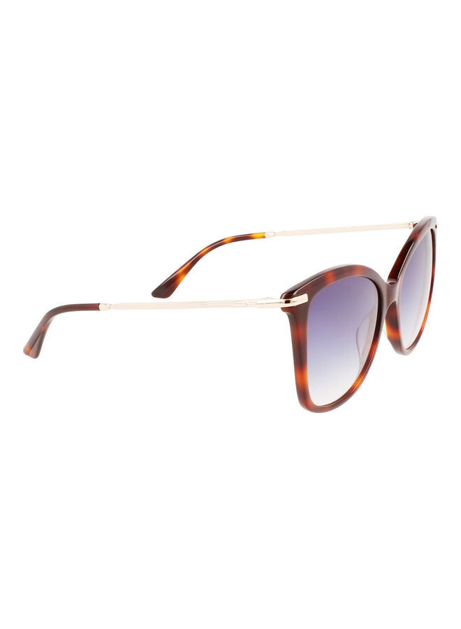 CALVIN KLEIN Women's Full Rim Acetate Butterfly Sunglasses CK22514S 5518 (220) Brown Havana  - Image 3