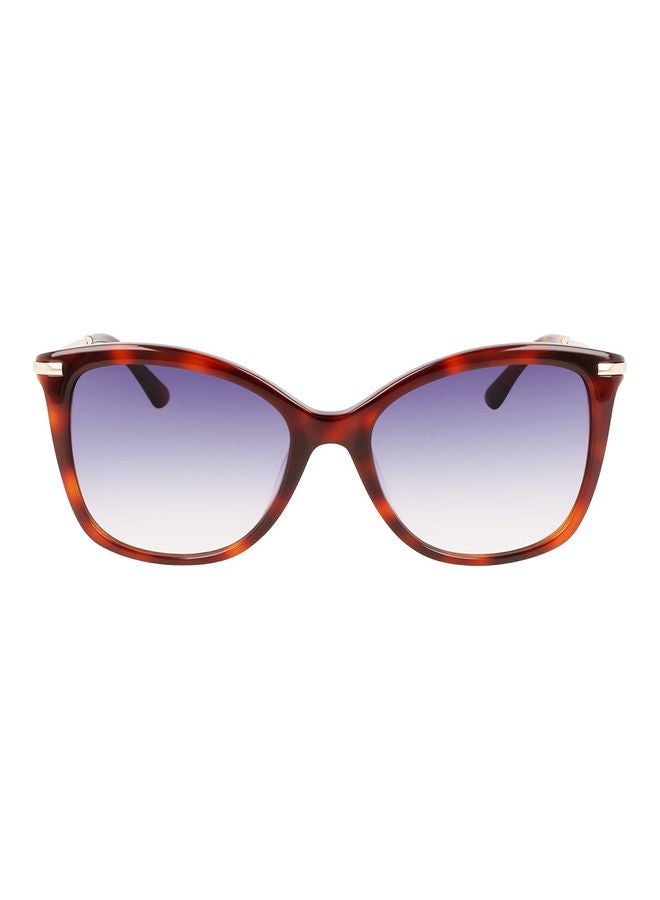 CALVIN KLEIN Women's Full Rim Acetate Butterfly Sunglasses CK22514S 5518 (220) Brown Havana  - Image 1
