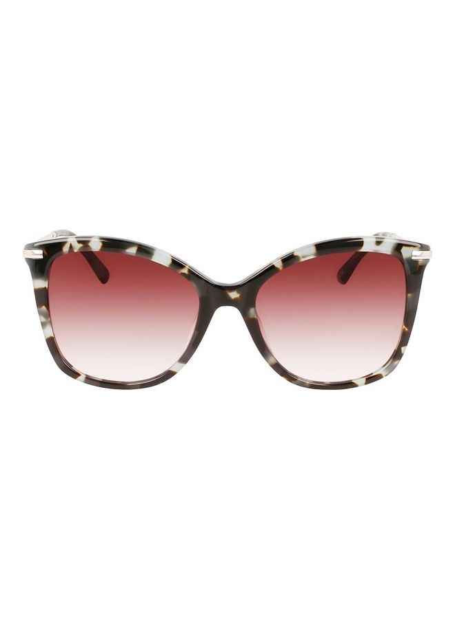 CALVIN KLEIN Women's Full Rim Acetate Butterfly Sunglasses CK22514S 5518 (444) Aqua Tortoise  - Image 1