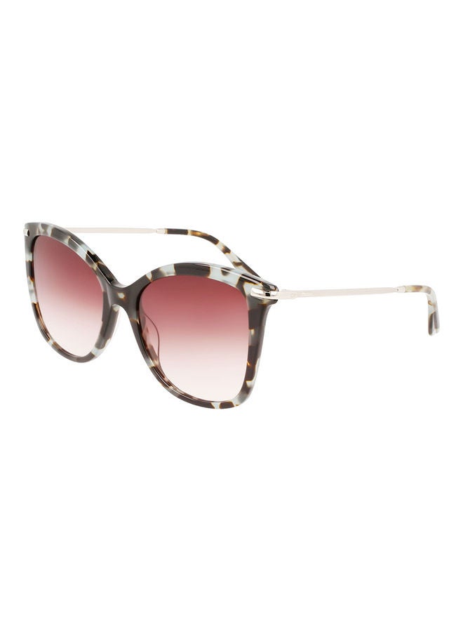 CALVIN KLEIN Women's Full Rim Acetate Butterfly Sunglasses CK22514S 5518 (444) Aqua Tortoise  - Image 2