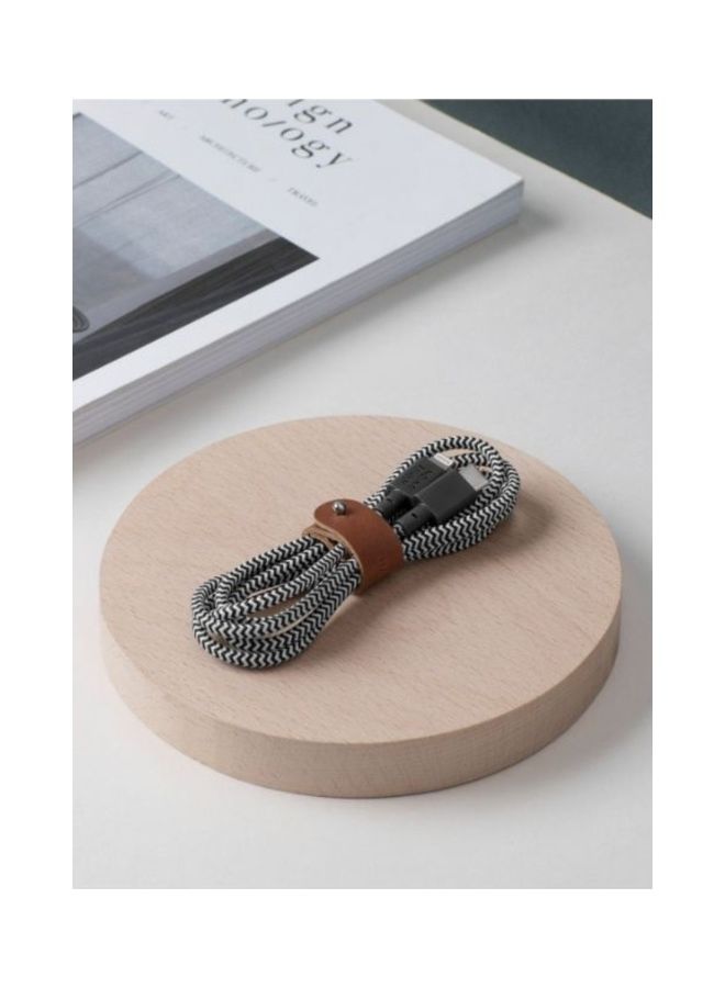 Native Union Belt USB-C To Lightning Charging Cable Multicolour - Image 3