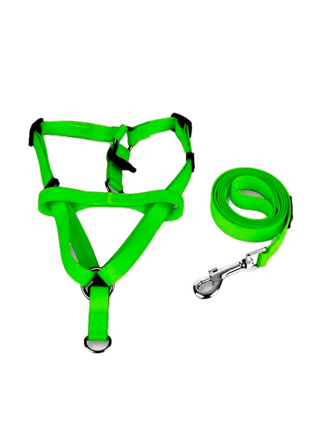 طقم مكون من طوق ومقود للكلب من قطعتين أخضر S/M/L - Image 1