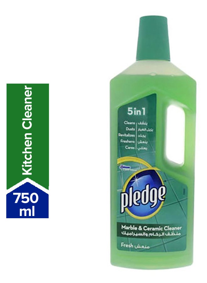 5-In-1 Marble And Ceramic Floor Cleaner - Fresh 750ml