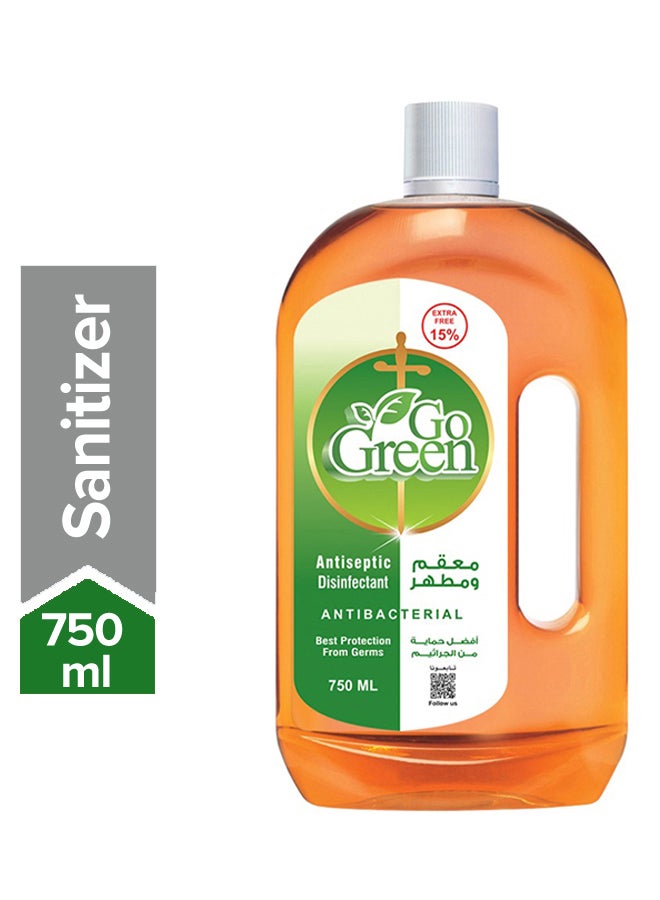 GO GREEN Antiseptic And Disinfectant 750ml