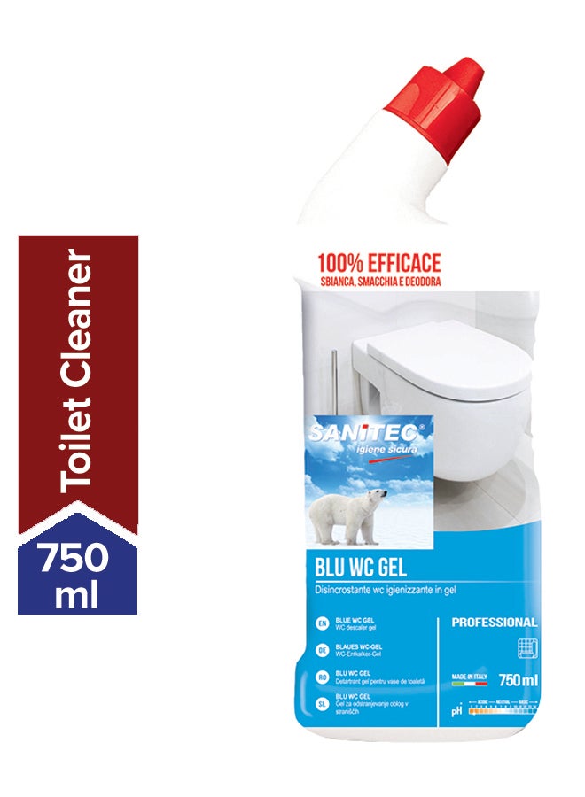 WC Descaler Cleaner Gel 750ml
