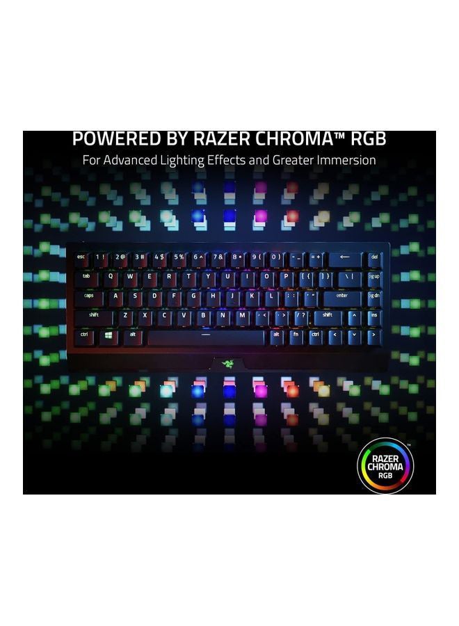 RAZER - Razer Blackwidow V3 Mini Mechanical Gaming Keyboard, Green Switch, RGB Chroma Lighting, Doubleshot Abs Keycaps, Multi-Fucntion Digital Roller And Media Key, Wrist Rest, US Layout - Black - Image 1